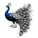 peacock bust with big feathers tattoo design idea