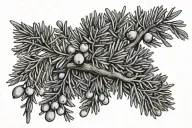 juniper branch tattoo design idea