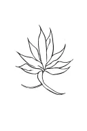 simple line cursive agave into a minimalist bouque at the top on my spine tattoo design idea