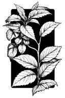 Coffee plant tattoo design idea