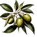 single olive tattoo design idea