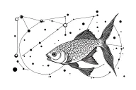 Pisces and Aquarius constellation tattoo design idea