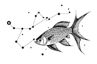 Pisces and Aquarius constellation tattoo design idea
