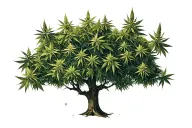 Walnut tree, and incorporate weed tattoo design idea