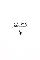 "john 3:16" bird in the distance tattoo design idea