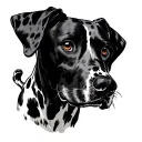 101 Dalmatians tattoo design idea