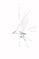 pheniox bird including Morse code stronger than ever tattoo design idea