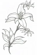 Lily flower with firefly looking at star in the spotlight tattoo design idea