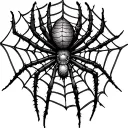 dirty spider web on the knee tattoo design idea