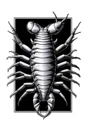 Centipede tattoo design idea
