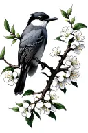 black and grey shrike bird with curved beak on a hawthorn tree branch with white flowers tattoo design idea