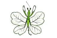 praying mantis on a leaf clover tattoo design idea