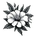 stamp style fine line tattoo with the national flower of El Salvador in a botanical style  tattoo design idea