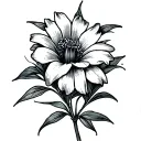 stamp style fine line tattoo with the national flower of El Salvador in a botanical style  tattoo design idea