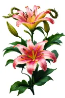 lily flower with frayed rope as stem tattoo design idea