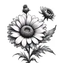 Calendula tattoo design idea