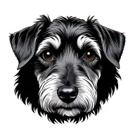 giant schnauzer , miniature schnauzer , Doberman dog head tattoo design idea