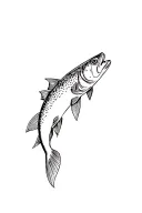 cutthroat trout tattoo design idea