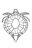 turtle ocean shell tattoo design idea