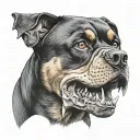 Rottweiler dog half face dead skull bone tattoo design idea