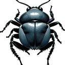 bug crawling on a bean tattoo design idea