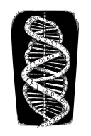 Coded helixThe double helix is made up of genetic code. The base pairs on the DNA rungs are replaced with symbolic code tattoo design idea