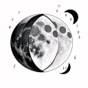 Create me a tattoo image of the moon phases divided into 7 phases. Phase number 4 must be the full moon. On the spine tattoo design idea