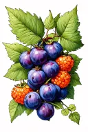 mulberry and cloudberry  tattoo design idea