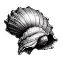  depicting only Donax trunculus (tellines) shells. Arrange about 5 to 8 shells evenly, not too scattered. One shell shou tattoo design idea