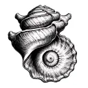  depicting only Donax trunculus (tellines) shells. Arrange about 5 to 8 shells evenly, not too scattered. One shell shou tattoo design idea