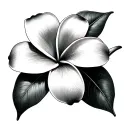 frangipani flower tattoo design idea