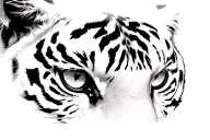 tiger eyes looking straight fine line tattoo design idea