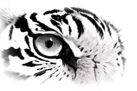 tiger eyes looking straight fine line tattoo design idea