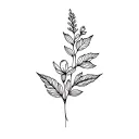 botanic style drawing tattoo design idea
