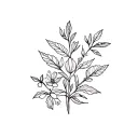 botanic style drawing tattoo design idea