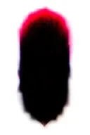 two rose wrapped one black one red  tattoo design idea