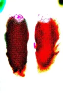 two rose wrapped one black one red  tattoo design idea