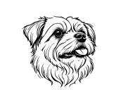 Lhaso apso woodcut tattoo design idea