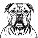 Pitbull face tattoo design idea