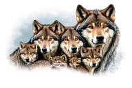family of two wolves and three cubs surrounded tattoo design idea