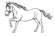 "crazy horse" crazy horse tattoo design idea