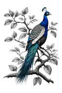 peacock landing on mango tree branch tattoo design idea