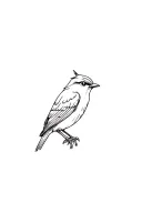red robin bird tattoo design idea