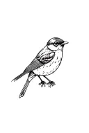 red robin bird tattoo design idea