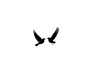 shadow of two mocking birds flying next to each other tattoo design idea