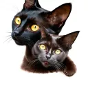 Black  Bombay Cat with yello eyes named Juliette with Russian Blue Cat named Dante with emerland eyes tattoo design idea