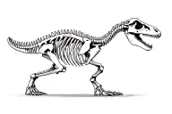 Dinosaur skeleton tattoo design idea