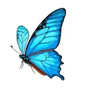 blue morpho butterfly from Until Dawn flat with the inside of the wings showing tattoo design idea