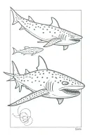 whale shark tattoo design idea
