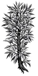 olive tree tattoo design idea